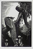 Repose Pheasant and Wisteria Original Wood Engraving Sir Lionel Arthur Lindsay