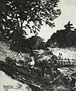 The Meadow Original Drypoint Engraving by Philip Little