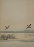 Ducks in Flight by Robert Reid Macguire