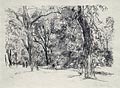 Park Landscape Original Lithograph by Hans Meid