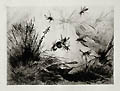 Abeilles Bees Original Etching by the French artist Alfred Emile Mery published for the Societe des Aqua Fortistes Eaux Fortes Modernes by A Cadart and Luquet
