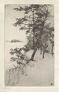 Southern Pines Original etching by the French American artist Eugene Paul Metour