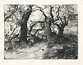 Zerstorter Garten in Salcano Ruined Garden in Salcano Original Drypoint Engraving by the Austrian artist Ludwig Michalek