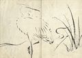 Egret and Rush Unpitsu soga Moving Brush in Rough or Rapid Painting by Tachibana Morikuni