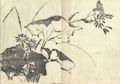 Floral Study from the Unpitsu soga Moving Brush in Rough or Rapid Painting Original woodcut by the Japanese artist Tachibana Morikuni published by Nishimura Genroku