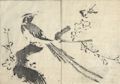 Peacock from the Unpitsu soga Moving Brush in Rough or Rapid Painting Original woodcut by the Japanese artist Tachibana Morikuni published by Nishimura Genroku