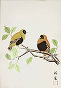 A Pair of Birds Original Watercolor by the Japanese artist Numaike