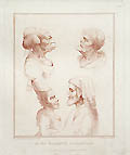 Leonardo da Vinci's Four Profiles by Benedetto Pastorini