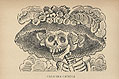Calavera Catrina or Dandy Skeleton Original Engraving by the Mexican artist Jose Guadalupe Posada