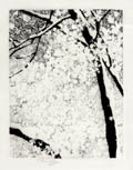 Snow Original Aquatint Engraving by Vojtech Preissig