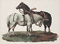 Farm Horses Die-Cut Original Chromolithograph by the British publisher Raphael Tuck and Sons