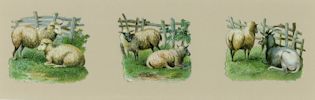 Sheep and Goat Three Original Chromolithographic Die Cuts by the British publisher Raphael Tuck and Sons