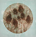 Teasels Original Aquatint by the American artist Ruth Rodman