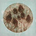 Teasels Original Aquatint by the American artist Ruth Rodman