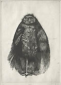 Hawk Original Drypoint Engraving by the American artist Aubrey Schwartz