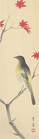 Wagtail Bird on Maple Branch Original Woodcut by the Japanese artist Watanabe Seitei