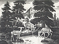 At The Brook Quiet Pool Original Lithograph by James Russell Sherman