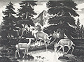 At The Brook Quiet Pool Original Lithograph by James Russell Sherman