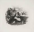 Hilda and the Doves Original Miniature Etching by the American Artist Walter Shirlaw The Hawthorne Portfolio The Marble Fawn