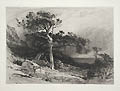 Old Cedars Coast of Maine Original Etching by James David Smillie