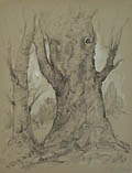 Preparatory Landscape Drawing Old Willow Trees by Peter Stoyan