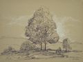 Landscape Study with Trees Original Drawing by the Canadian Artist Peter Stoyan known as Peter Stoyanoff