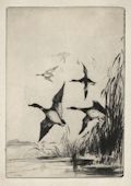 Marsh Birds Original Drypoint Engraving by the American artist Anthony Thieme