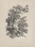 Three Toed Sloth by James Tookey designed by Julius Ibbetson for the Cabinet of Quadrupeds