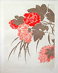 Mallo Hibiscus Mutabilis Confederate Rose Dixie Rosemallow Cotton Rosemallow Original embossed Etching by the Chilean American artist Fernando Torm Toha