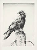 Raven on a Stump Original Drypoint Engraving by the American artist Henry Emerson Tuttle also listed as Henry Tuttle