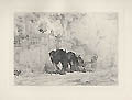 Carriage Horses Original Etching by the French artist Jules Veyrassat also listed as Jules Jacques Veyrassat from P. G. Hamerton's Chapters on Animals