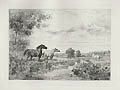 Horses by a Stream Original Etching by the French artist Jules Veyrassat also listed as Jules Jacques Veyrassat from P. G. Hamerton's Chapters on Animals
