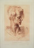 A Man's Head in Profile Original Etching by Thomas Vivares designed by Michelangelo Lodovico Buonarroti Simoni Published by William Young Ottley for The Italian School of Design