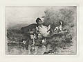 A Family of Quacks Original Etching by the American artist Charles Volkmar