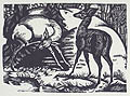 Rehe Deer Original Woodcut by the German artist Adolf Weber Scheld
