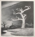 Fat Lightened Tree Original Lithograph by Buell Whitehead