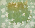 Maple in the Sky Original Lithograph by Anna Wong