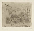 Gnu and Esel Original Etching and Drypoint Engraving by the German artist Fritz Wrampe
