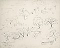 Tree Tops Original Pen and Ink Drawing by the American artist George Biddle