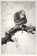 Not Interested Original Drypoint Engraving by the British artist Leonard Brightwell
