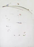 Make It Short Original Lithograph and Watercolor by the American artist John Dowell