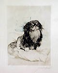 Pekingnesen Japanese Chin Dog on Pillow Original Etching and Drypoint Engraving by the German artist Carl Albert Joseph Gaber also known as Carl Gaber