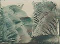 Forest and Clouds Study in Green Original Watercolour by Charles McKenzie also known as Charlie McKenzie