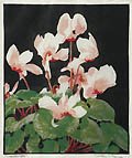 Cyclamen Original Linocut by the Canadian artist Gordon Payne also listed as Gordon Eastcott Payne