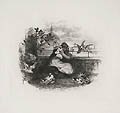 Hilda and the Doves Original Miniature Etching by the American Artist Walter Shirlaw The Hawthorne Portfolio The Marble Fawn