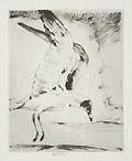 Sea Gull by the American artist Henry Emerson Tuttle also listed as Henry Tuttle