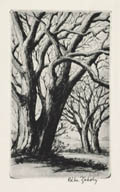 Tree Original Drypoint Engraving by the American artist Bela Zaboly