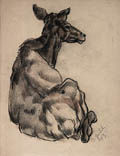 Animal Study Original Pastel Drawing by Clarence Zuelch