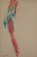 Parrot Original Pastel Drawing by Clarence Edward Zuelch