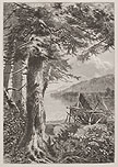 Hemlocks of Lake Otsego by John Augustus Hows for The Aldine